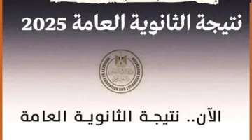 إذا تم اعتمادها.. رابط استعلام نتيجة الثانوية العامة 2025