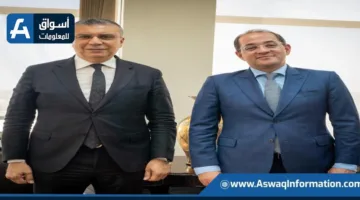 وزير المالية: نحن نسعى لتوضيح إنجازات الحكومة في تشجيع الاستثمار ودعم النمو الاقتصادي