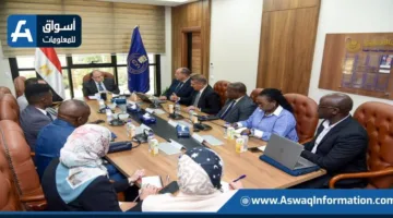 رئيس هيئة الدواء يستعرض إجراءات تأسيس مصنع مشترك للأدوية في زامبيا