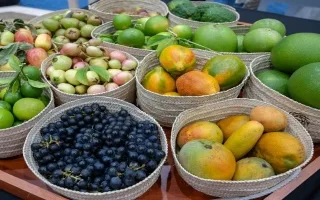 ثمار مزارع الإمارات ت enriquecen “سلة فواكه الدار” بـ238 نوعاً.
