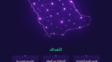 الحكومة الرقمية تجمع وتغلق 267 منصة إلكترونية في مجالات متعددة لتعزيز تجربة المستخدمين.