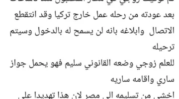 مصادر مصرية للعربية: محادثات مع تركيا بشأن إمكانية تسليم عناصر من الإخوان المسلمين المصريين المتواجدين على أراضيها