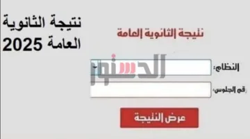 اكتشف نتيجتك الآن: رابط نتائج الثانوية العامة 2025 بالاسم ورقم الجلوس عبر موقع الدستور