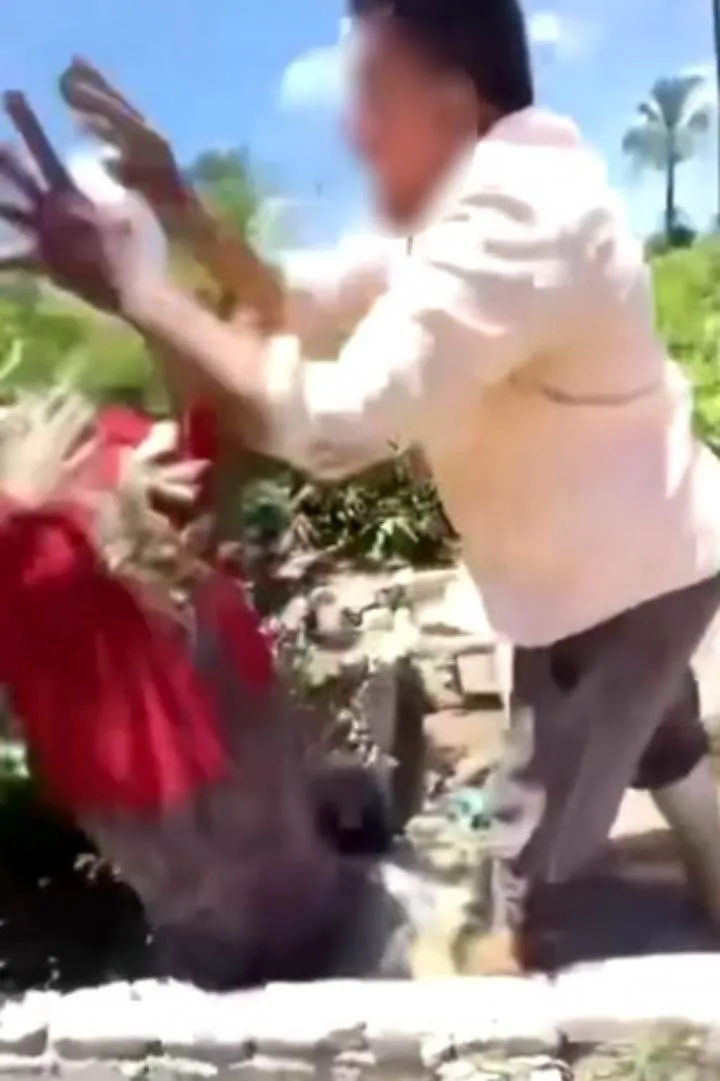 عاجل.. معلومات حول فيديو يظهر اعتداء شخص على زوجة شقيقه الراحل بالضرب عاجل.. معلومات حول فيديو يظهر اعتداء شخص على زوجة شقيقه الراحل بالضرب