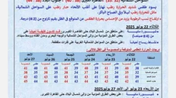 ارتفاع ملحوظ في درجات الحرارة.. هيئة الأرصاد تكشف عن توقعات الطقس للأيام القادمة