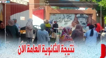 الرابط المباشر لمعرفة نتيجة الثانوية العامة 2025 باستخدام رقم الجلوس متاح الآن.