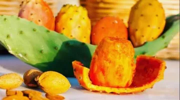 هؤلاء لا يُسمح لهم بتناول التين الشوكي.. هل تتضمنهم؟