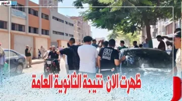رابط نتيجة الثانوية العامة 2025 باستخدام رقم الجلوس على موقع وزارة التربية والتعليم بعد اعتمادها مباشرة