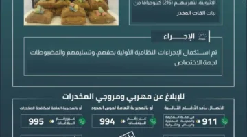 إلقاء القبض على 12 شخصًا في عسير بسبب تهريب 216 كيلوغرامًا من القات المخدر.