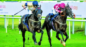“مداوي” يتصدر سباق الخيول الأصيلة المهجنة
