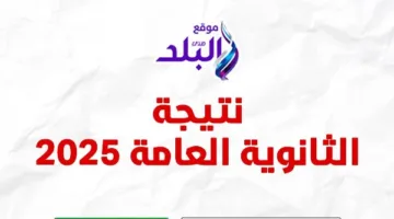 نتيجة الثانوية العامة 2025 متاحة برقم الجلوس عبر موقع صدى البلد