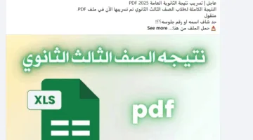 تصدرت الشائعات حول تسريب نتائج الثانوية العامة 2025 PDF، والتعليم يحذر منها