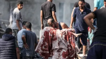 فرنسا تطلب إذنًا للصحفيين لدخول غزة “لرصد الأحداث هناك”