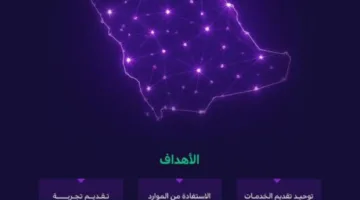 دمج وإغلاق 276 منصة إلكترونية لتعزيز تجربة المستخدمين