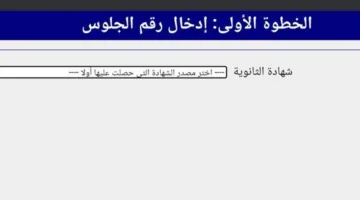 نتائج الثانوية العامة 2025: الإعلان عن الحدود الدنيا للمرحلة الأولى وموعد انطلاقها.