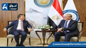 وزير البترول يتباحث مع “بريتش بتروليوم” حول استراتيجيات الشركة لزيادة إنتاج الغاز الطبيعي في مصر