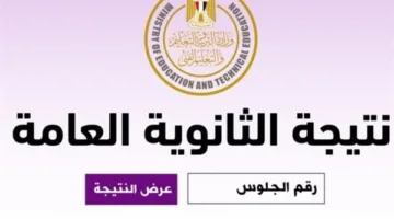 الإفصاح عن نتائج الثانوية العامة 2025 رسميًا من خلال موقع وزارة التعليم لمحافظة الغربية وبقية المحافظات