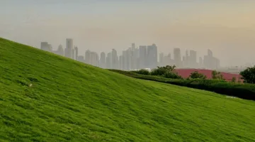 مبادرات قطر في مواجهة التصحر: رؤية متكاملة لحماية البيئة وتعزيز الموارد