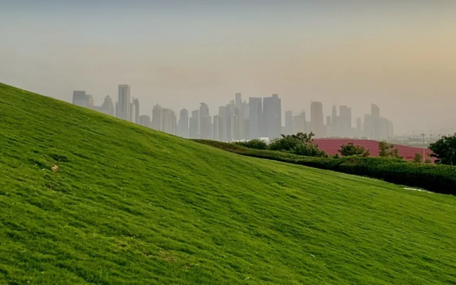 مبادرات قطر في مواجهة التصحر: رؤية متكاملة لحماية البيئة وتعزيز الموارد