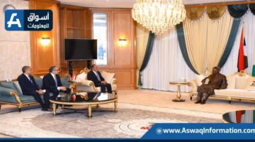 وزير الخارجية يبحث مع الرئيس النيجيري سبل تعزيز التعاون في التجارة والاستثمار