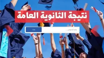 نتائج الأوائل في الثانوية العامة 2025 بصيغة PDF.. تحقق من نتيجتك الآن!