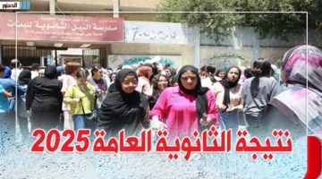 التحقق من نتيجة الثانوية العامة 2025 متاح الآن باستخدام الاسم ورقم الجلوس