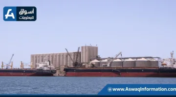 ميناء دمياط يستقبل 64 ألف طن من القمح الفرنسي لمصلحة القطاع العام