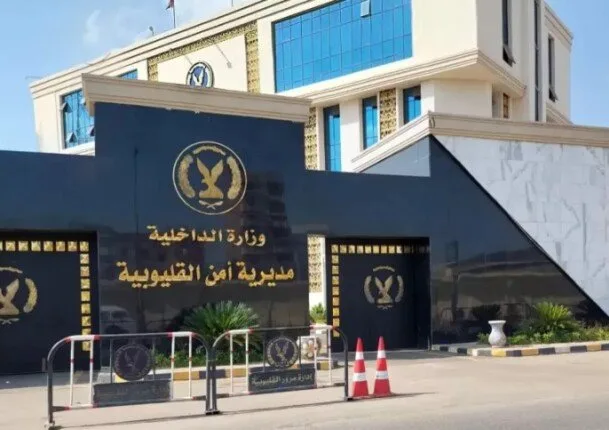 بعد انتظار دام 7 أشهر.. امرأة تتهم طبيبًا باختطاف طفلتها بعد ولادتها عبر حقن مجهري.