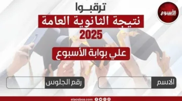 استعلم عن نتيجة الثانوية العامة 2025 باستخدام رقم الجلوس عبر بوابة الأسبوع.
