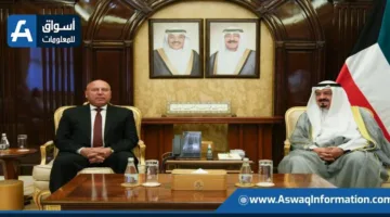 مصر والكويت تتعاونان على تحويل الوديعة في البنك المركزي إلى استثمارات مباشرة