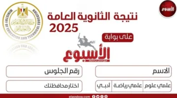 «نظام قديم».. ما هي نسبة النجاح في امتحانات الثانوية العامة 2025؟
