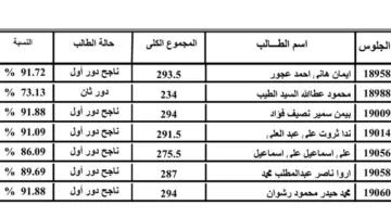 رابط مباشر: نتيجة الثانوية العامة 2025 متاحة الآن عبر “الدستور”