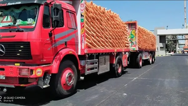 وزير الزراعة: توزيع 12 مليون شيكارة من السماد المدعم للمزارعين من خلال نظام كارت الفلاح. وزير الزراعة: توزيع 12 مليون شيكارة من السماد المدعم للمزارعين من خلال نظام كارت الفلاح.