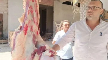ضبط 30 كيلوغرامًا من اللحوم المذبوحة خارج المسالخ الرسمية في كفر الشيخ
