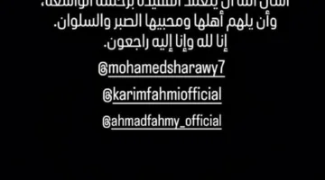رحيل خالة كريم وأحمد فهمي.. وعمرو محمود ياسين يعبر عن حزنه بكلمات مؤثرة