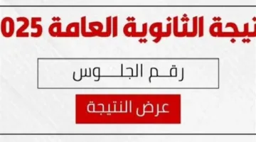 تنسيق الجامعات 2025: مؤشرات القبول والتحديثات الجديدة بعد صدور نتائج الثانوية العامة