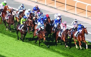 «دبي لسباقات الخيل» و«فرانس غالو» تُعلن عن اتفاقية لتعزيز التعاون المشترك.