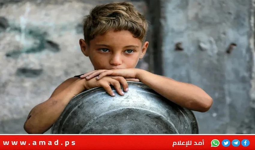 بابا الفاتيكان: الأوضاع الإنسانية في غزة تتفاقم والمجاعات تضر بالمدنيين بابا الفاتيكان: الأوضاع الإنسانية في غزة تتفاقم والمجاعات تضر بالمدنيين