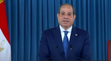 الرئيس السيسي: أنجزنا العديد من الأمور في فترة شهدت انهيار دول وتفكك كيانات ومنظمات.