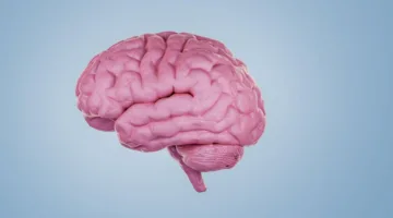كيف تؤثر الفطريات داخل أجسادنا على عقولنا وتصرفاتنا؟