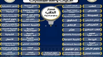 نقدم قائمة بالكليات المتاحة والمقررات الدراسية لمسار الطب وعلوم الحياة وفق النظام الجديد للبكالوريا المصرية.