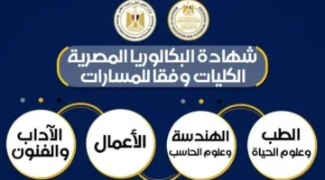 الوزارتان المعنيتان بالتعليم تعلن تفاصيل الكليات والتخصصات الجامعية المتاحة ضمن المسارات المختلفة في النظام الجديد للبكالوريا.