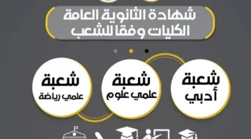 تحديد الكليات والتخصصات المتاحة لشهادتي البكالوريا والثانوية العامة في النظام الجديد.