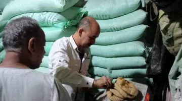“تموين المنيا” تحقق في 262 مخالفة خلال حملات تفتيشية شاملة على المخابز والأسواق