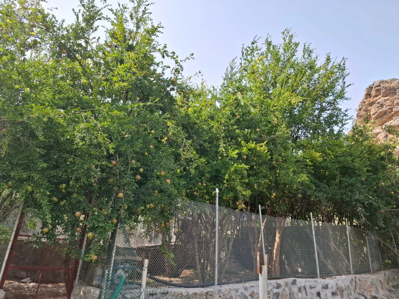 قرية المناخر في الجبل الأخضر: وجهة سياحية بيئية مستدامة
