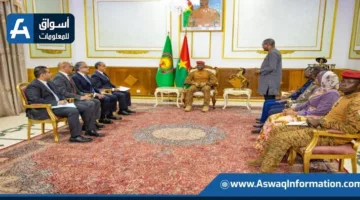 وزير الخارجية والهجرة ي 전달 رسالة من الرئيس السيسي إلى رئيس بوركينا فاسو