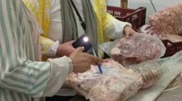 الدقهلية: ضبط 7 أطنان من منتجات اللحوم غير صالحة للاستخدام في جمصة