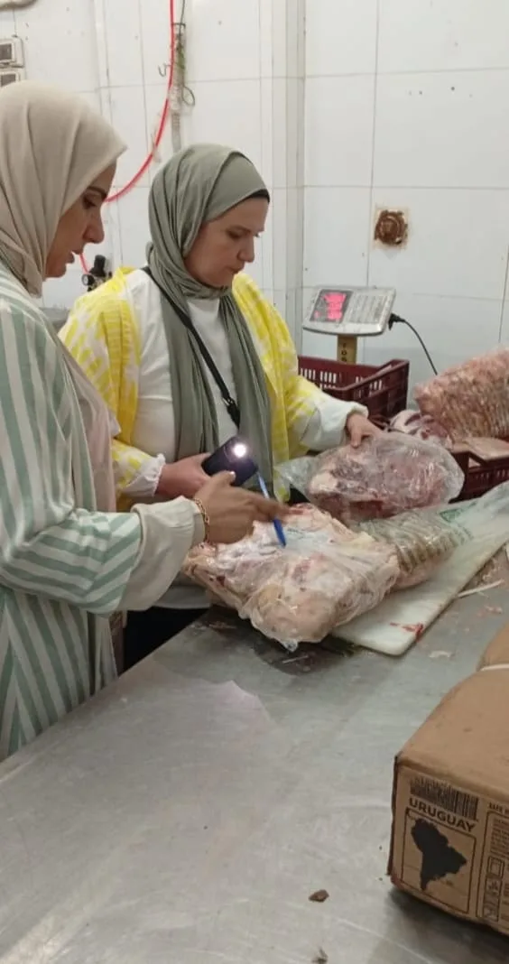 الدقهلية: ضبط 7 أطنان من منتجات اللحوم غير صالحة للاستخدام في جمصة الدقهلية: ضبط 7 أطنان من منتجات اللحوم غير صالحة للاستخدام في جمصة