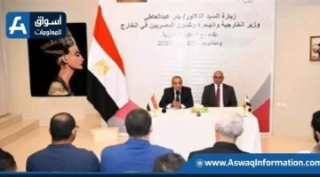 اجتماع دبلوماسي بين وزيري خارجية مصر والنيجر في نيامي