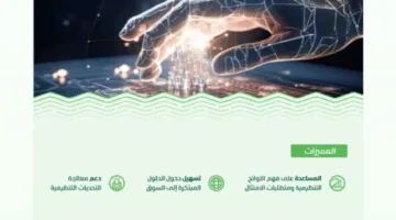 البيئة تشجع المبتكرين ورواد الأعمال على المشاركة في برنامج البيئة التنظيمية التجريبية.